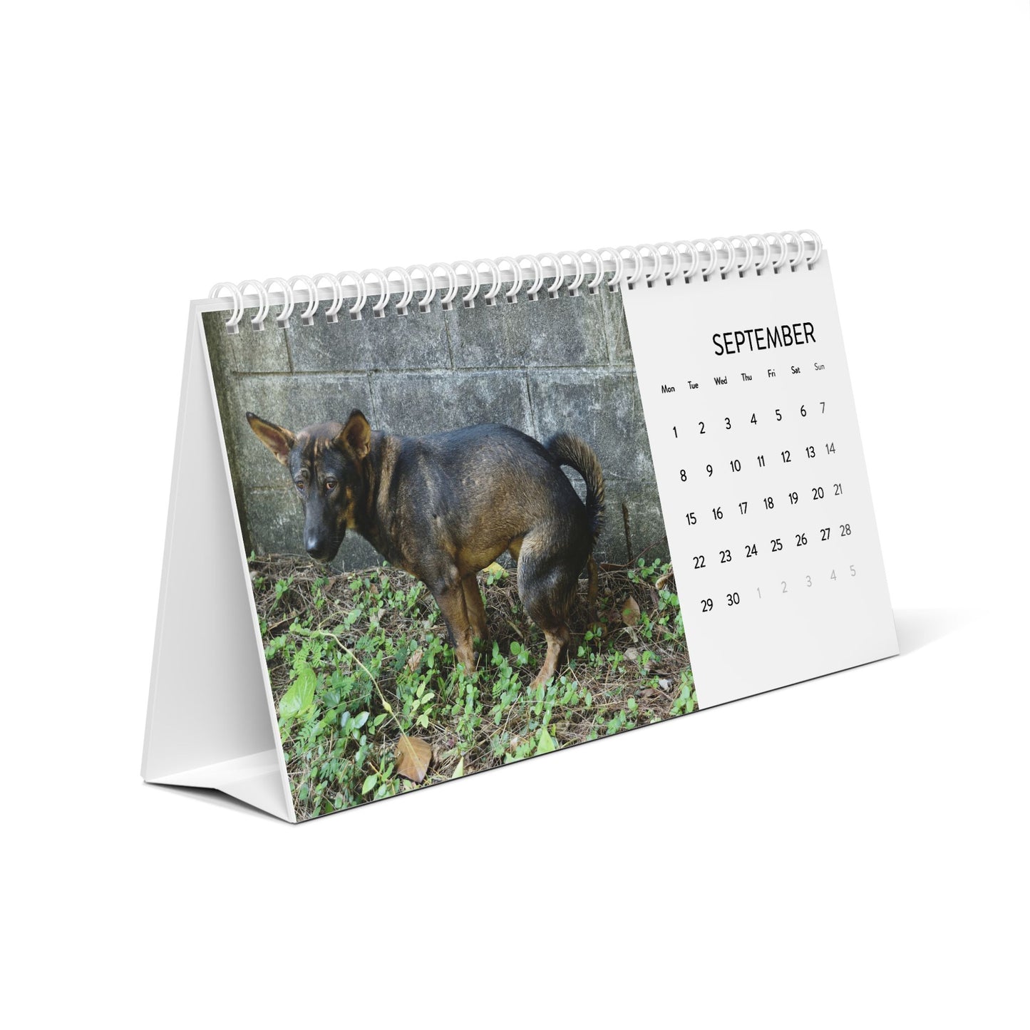 Pooping Dogs Desk Calendar 2025, Funny 2025 Desk Calendar, Funny Christmas Gift for Dog Lover, Dog Pooping, Dog Lover Gift