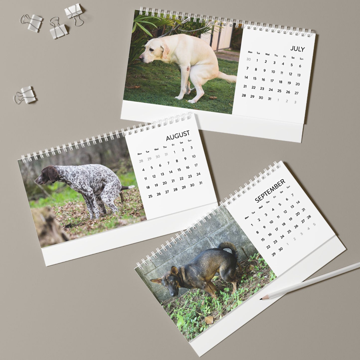 Pooping Dogs Desk Calendar 2025, Funny 2025 Desk Calendar, Funny Christmas Gift for Dog Lover, Dog Pooping, Dog Lover Gift