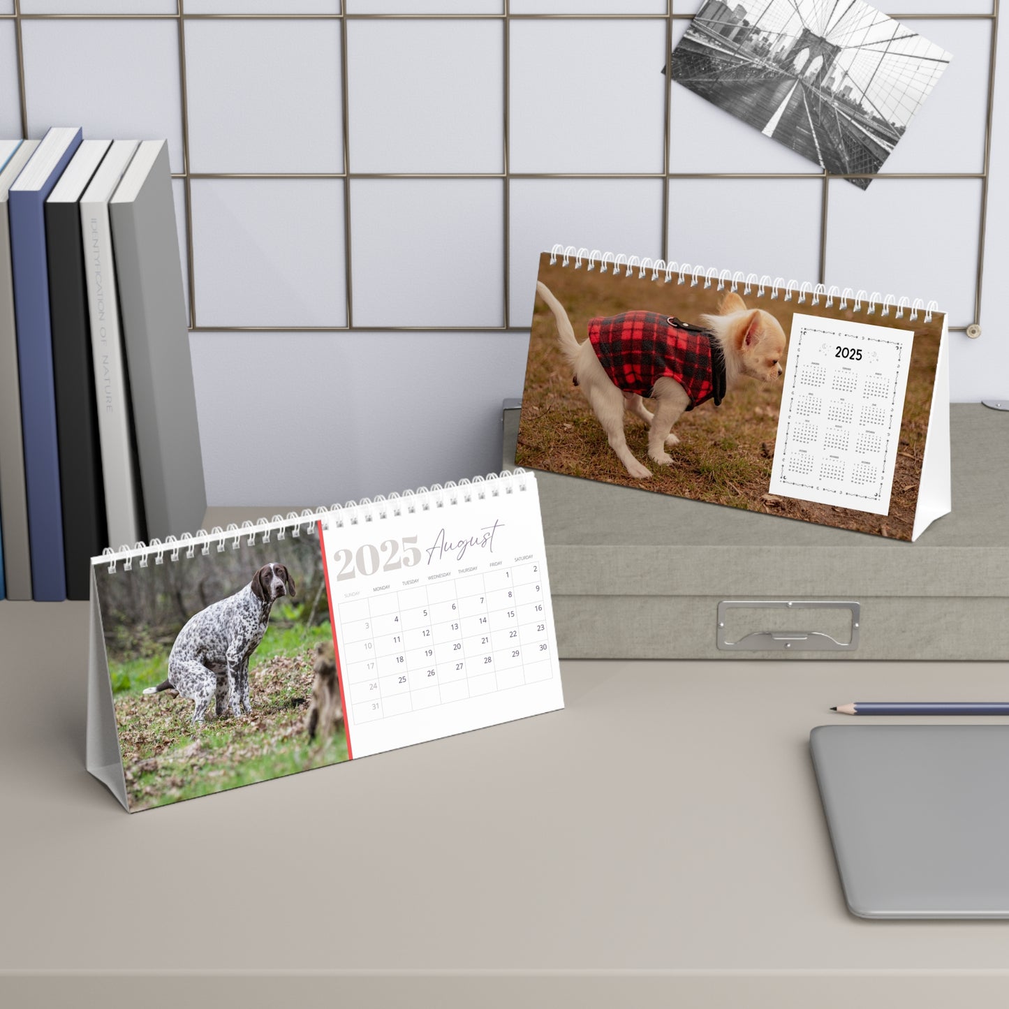 Pooping Dogs Desk Calendar 2025, Funny 2025 Desk Calendar, Funny Christmas Gift for Dog Lover, Dog Pooping, Dog Lover Gift