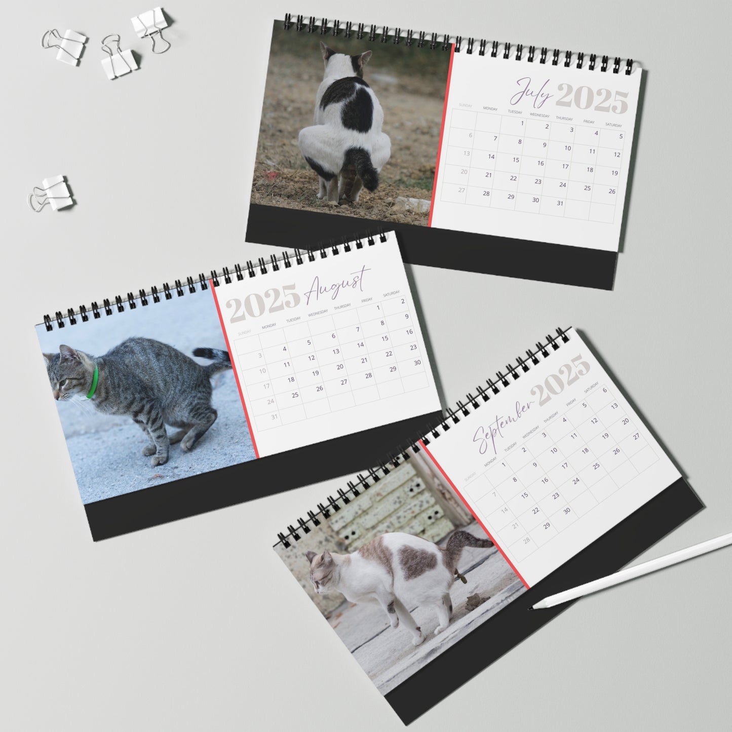 Pooping Cats Desk Calendar 2025, Funny 2025 Desk Calendar, Funny Christmas Gift for Cat Lover, Cat Pooping, Cat Lover Gift