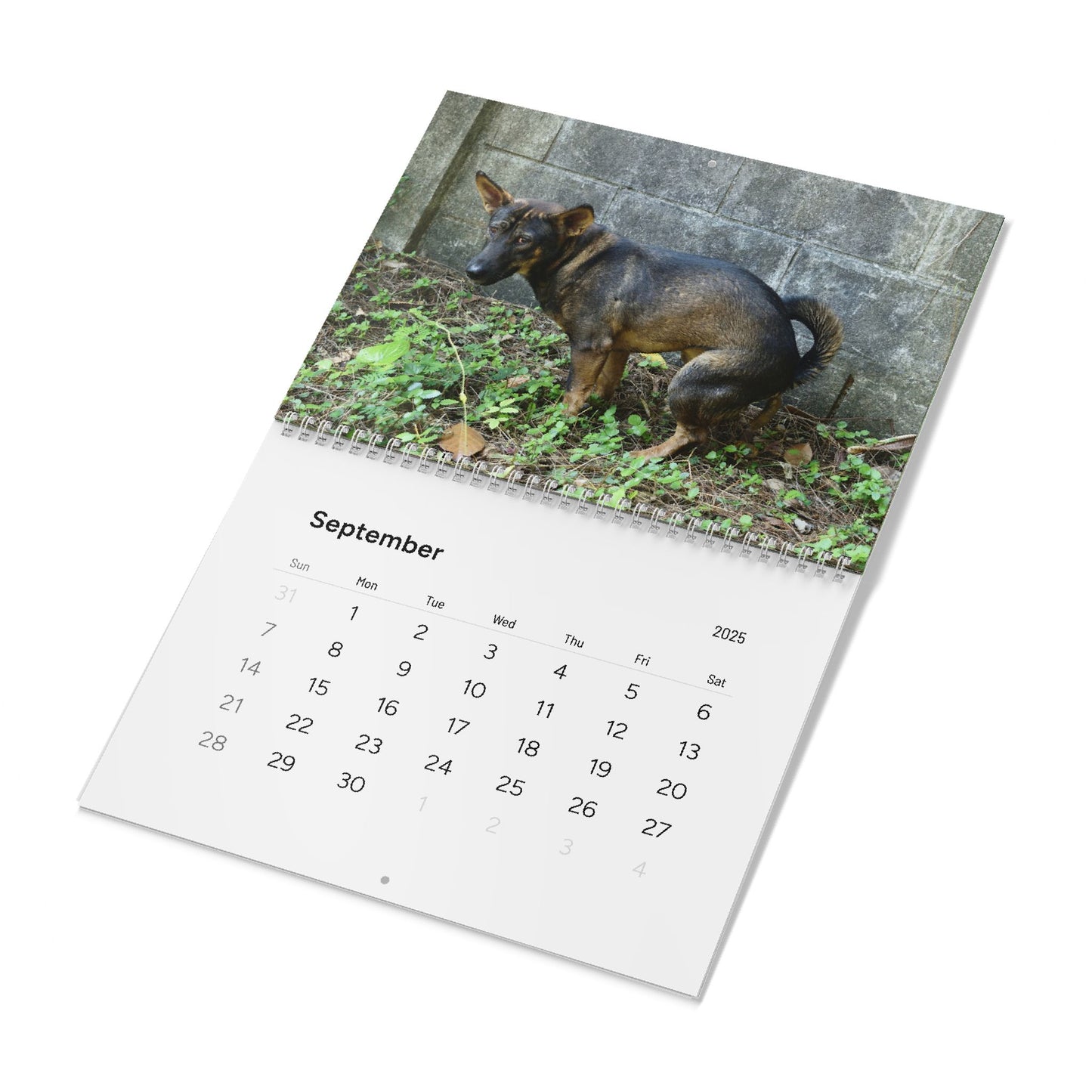 Pooping Dogs Calendar 2025, Funny 2025 Dog Calendar, Funny Christmas Gift for Dog Lover, Dog Pooping 2025, Dog Lover Gift