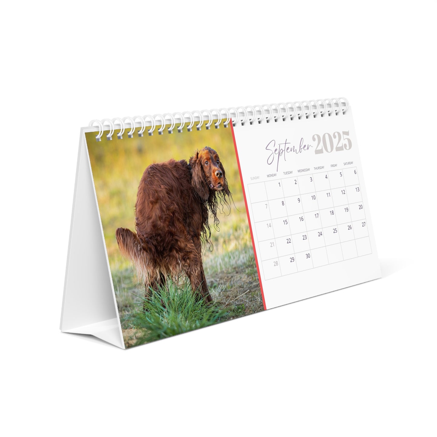 Pooping Dogs Desk Calendar 2025, Funny 2025 Desk Calendar, Funny Christmas Gift for Dog Lover, Dog Pooping, Dog Lover Gift