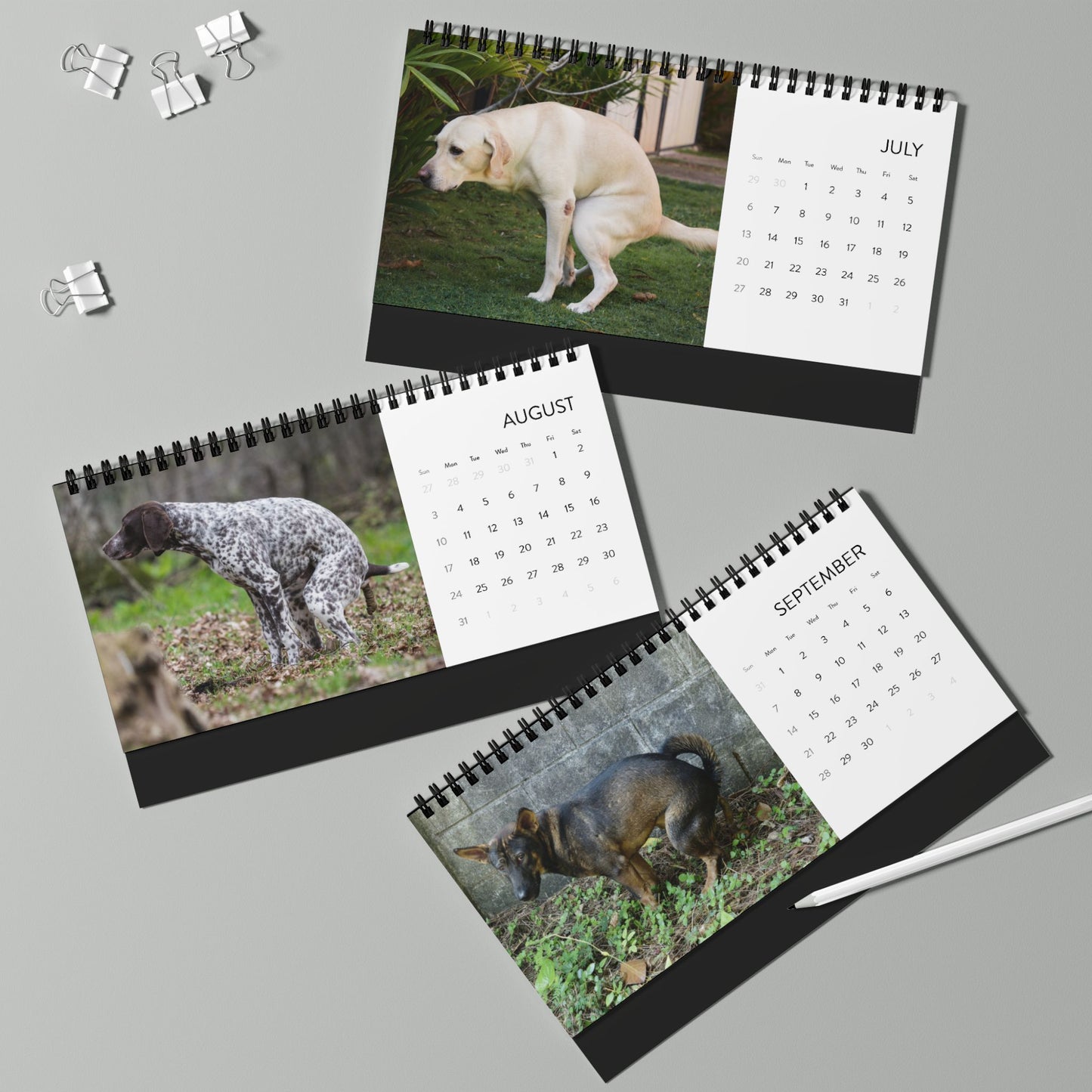 Pooping Dogs Desk Calendar 2025, Funny 2025 Desk Calendar, Funny Christmas Gift for Dog Lover, Dog Pooping, Dog Lover Gift