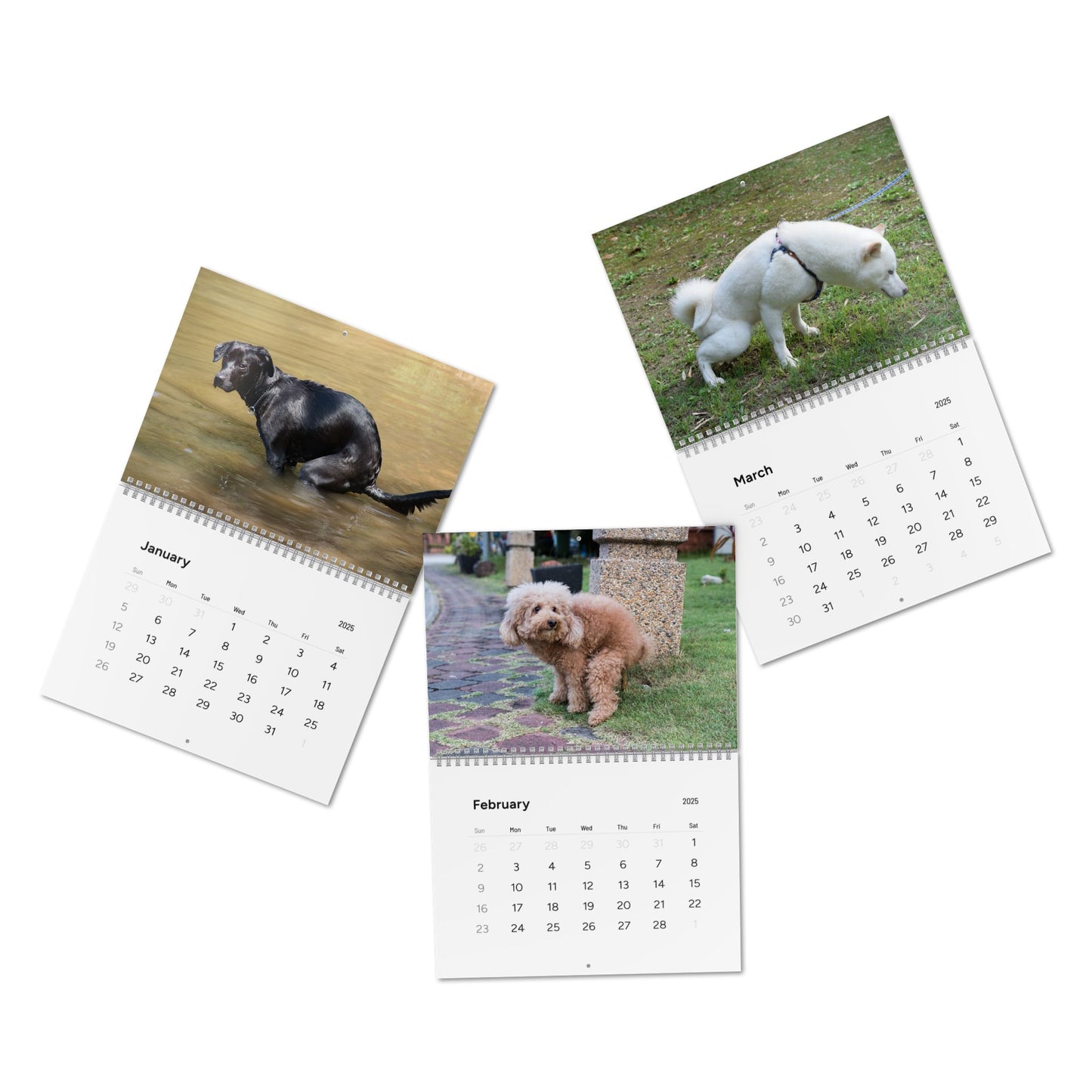 Pooping Dogs Calendar 2025, Funny 2025 Dog Calendar, Funny Christmas Gift for Dog Lover, Dog Pooping 2025, Dog Lover Gift