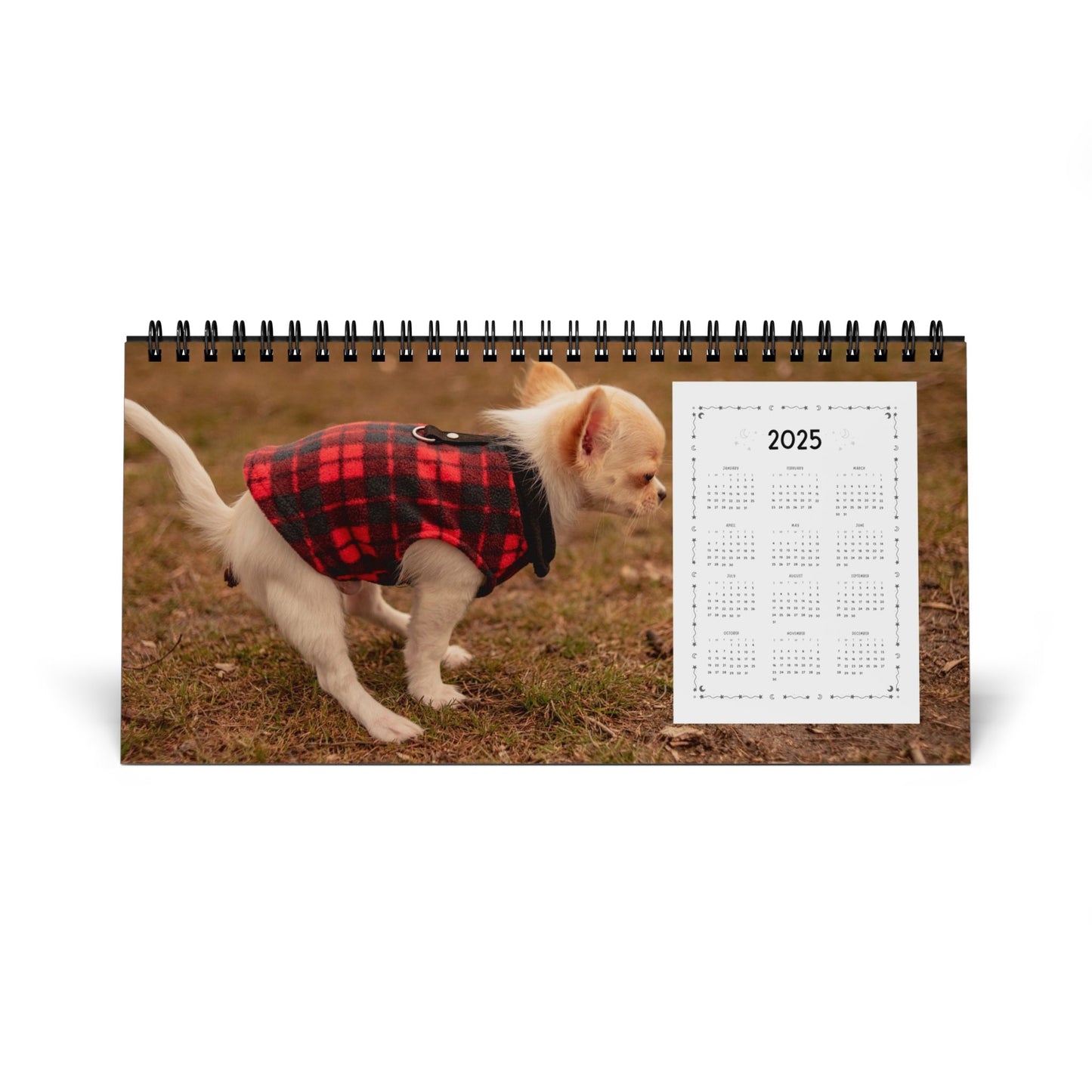 Pooping Dogs Desk Calendar 2025, Funny 2025 Desk Calendar, Funny Christmas Gift for Dog Lover, Dog Pooping, Dog Lover Gift