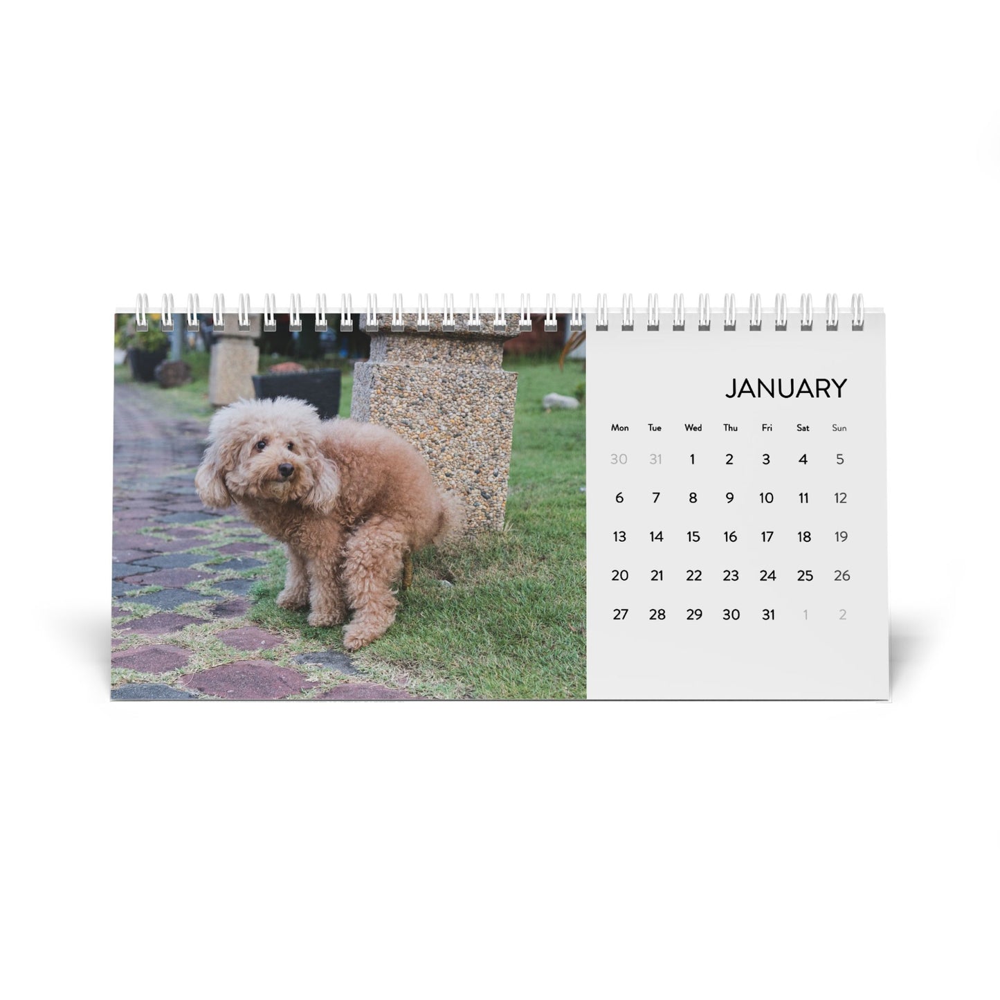 Pooping Dogs Desk Calendar 2025, Funny 2025 Desk Calendar, Funny Christmas Gift for Dog Lover, Dog Pooping, Dog Lover Gift