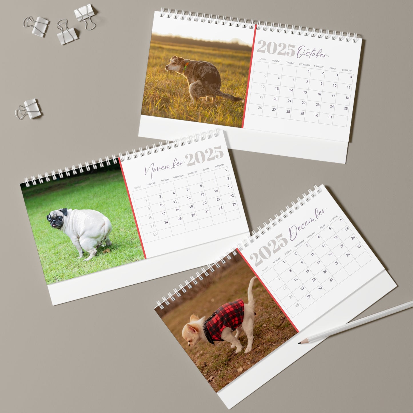 Pooping Dogs Desk Calendar 2025, Funny 2025 Desk Calendar, Funny Christmas Gift for Dog Lover, Dog Pooping, Dog Lover Gift