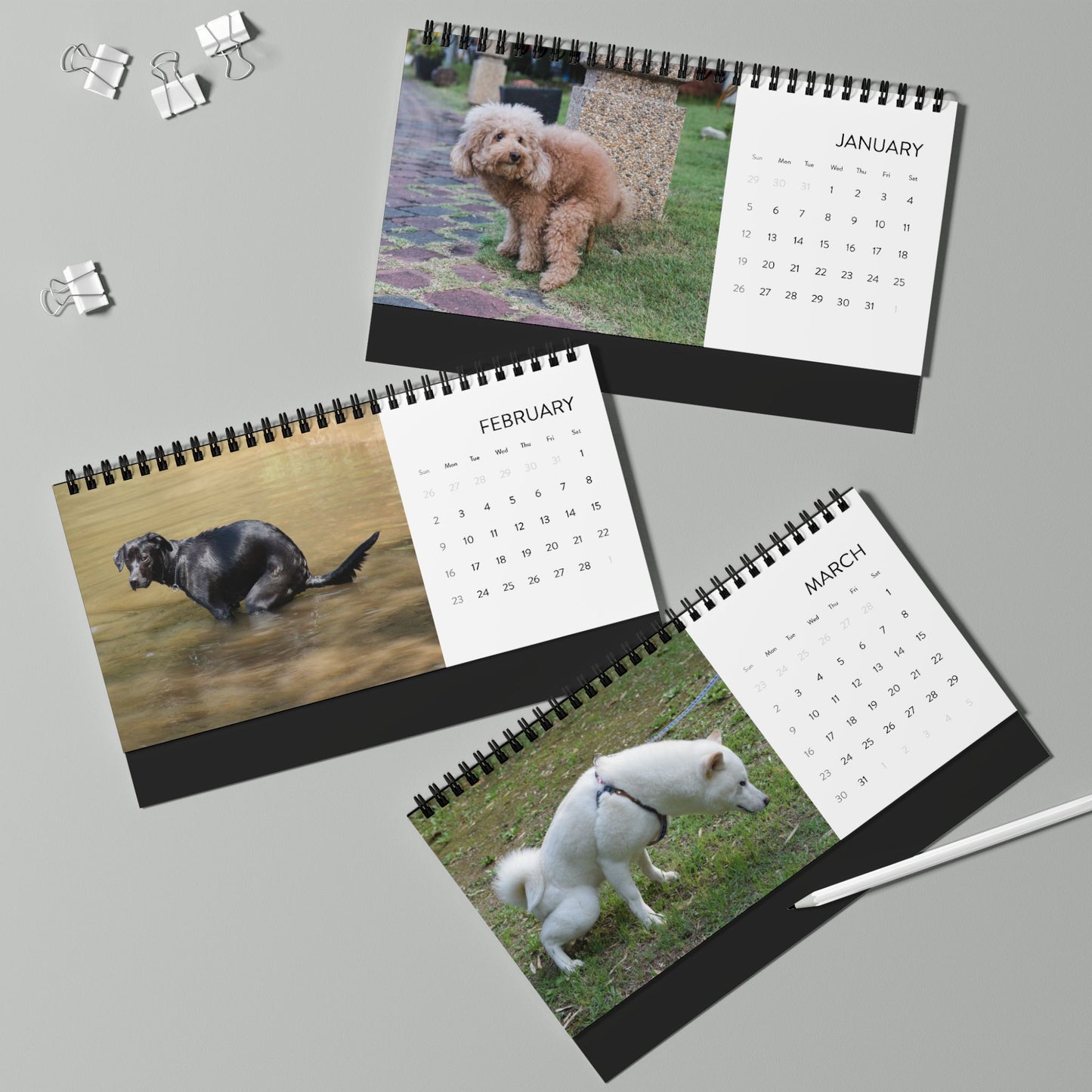 Pooping Dogs Desk Calendar 2025, Funny 2025 Desk Calendar, Funny Christmas Gift for Dog Lover, Dog Pooping, Dog Lover Gift