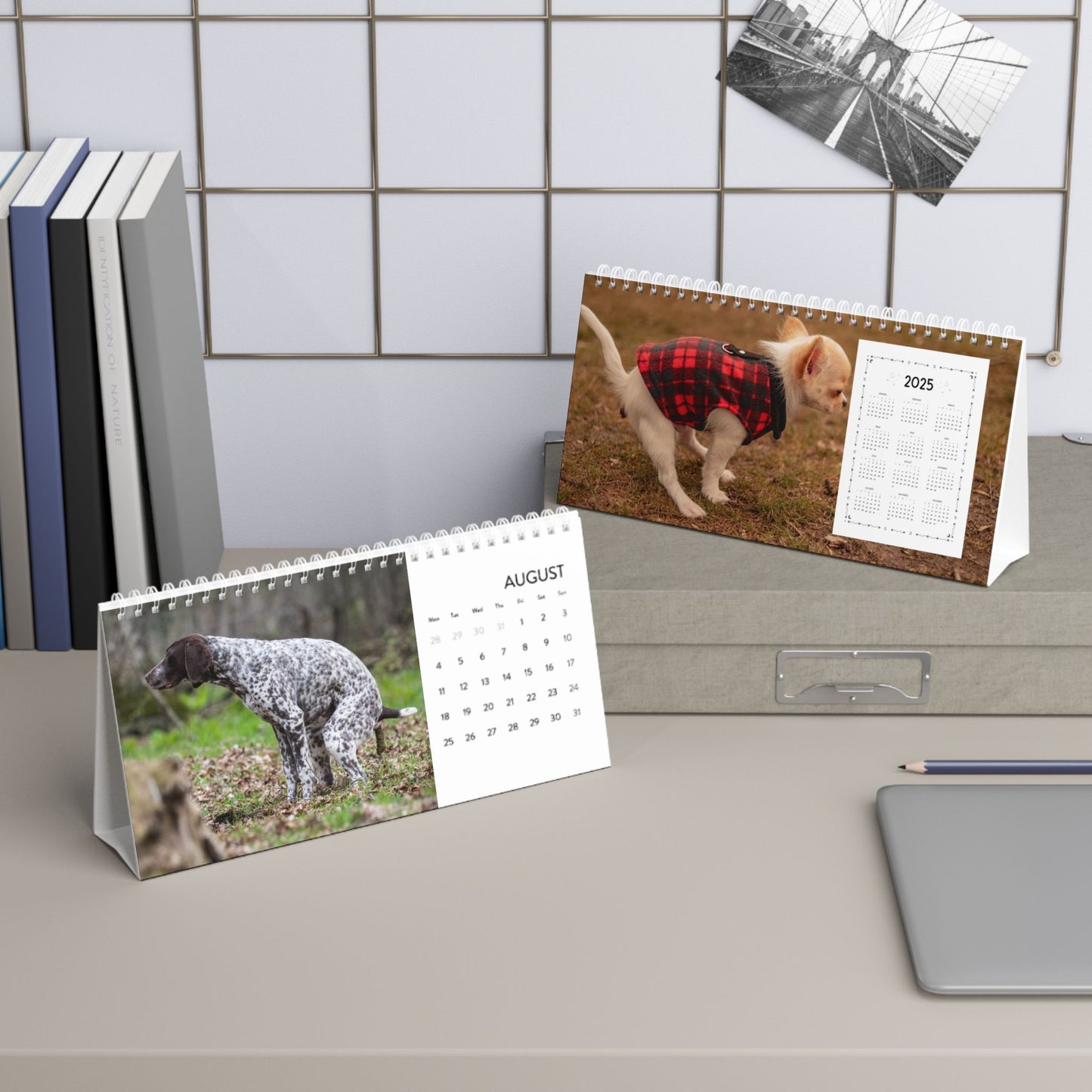 Pooping Dogs Desk Calendar 2025, Funny 2025 Desk Calendar, Funny Christmas Gift for Dog Lover, Dog Pooping, Dog Lover Gift