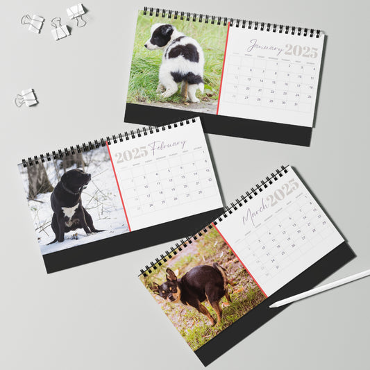 Pooping Dogs Desk Calendar 2025, Funny 2025 Desk Calendar, Funny Christmas Gift for Dog Lover, Dog Pooping, Dog Lover Gift