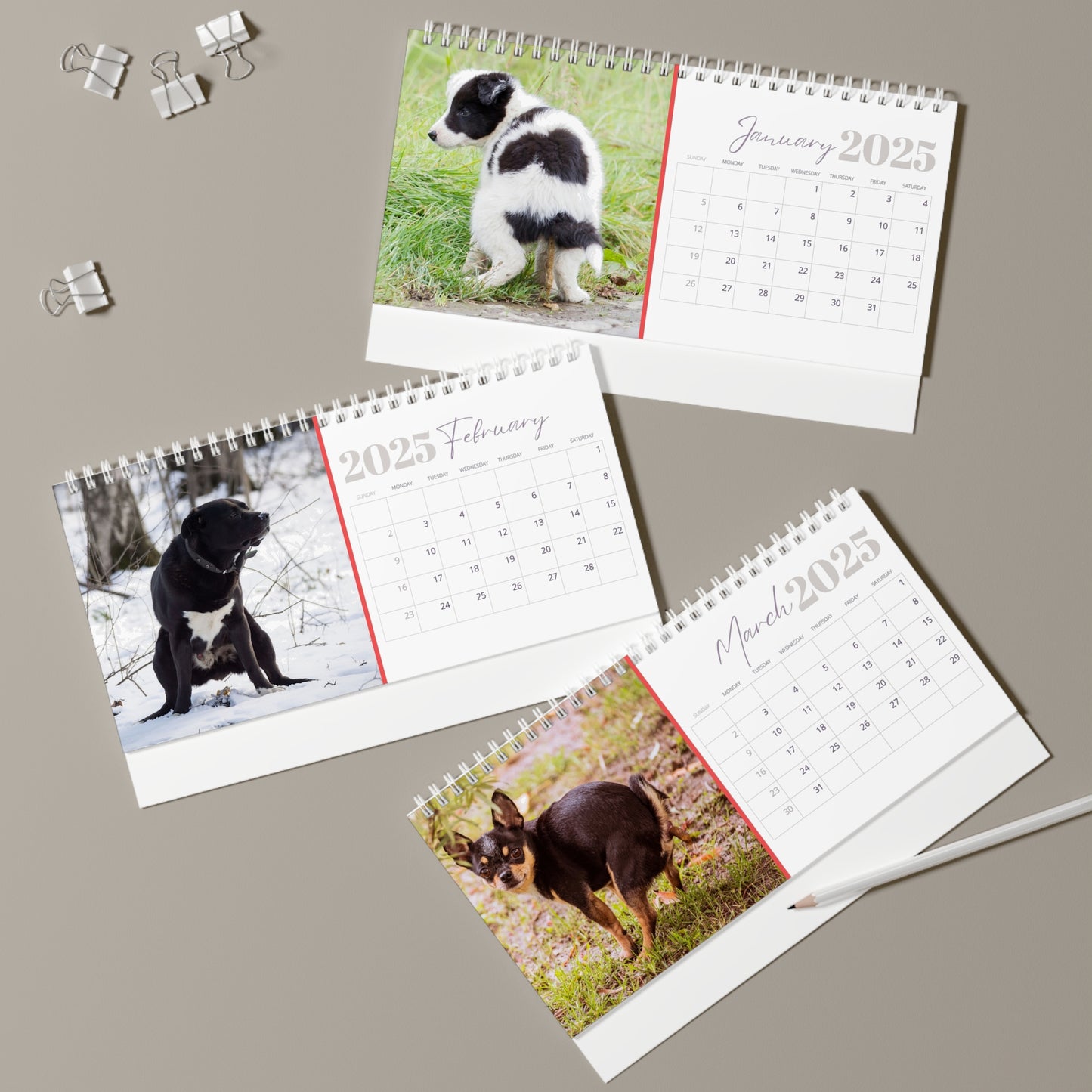 Pooping Dogs Desk Calendar 2025, Funny 2025 Desk Calendar, Funny Christmas Gift for Dog Lover, Dog Pooping, Dog Lover Gift