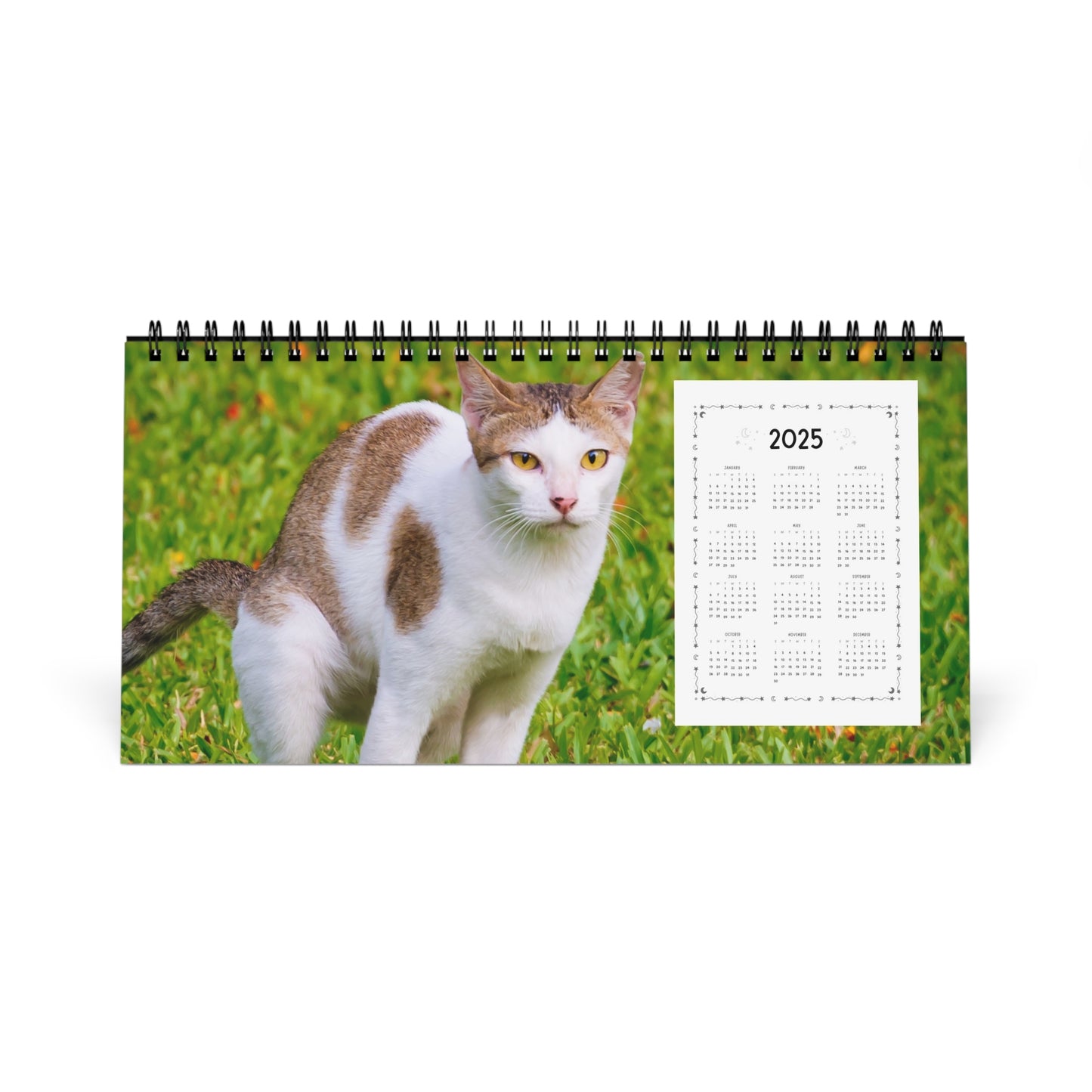 Pooping Cats Desk Calendar 2025, Funny 2025 Desk Calendar, Funny Christmas Gift for Cat Lover, Cat Pooping, Cat Lover Gift