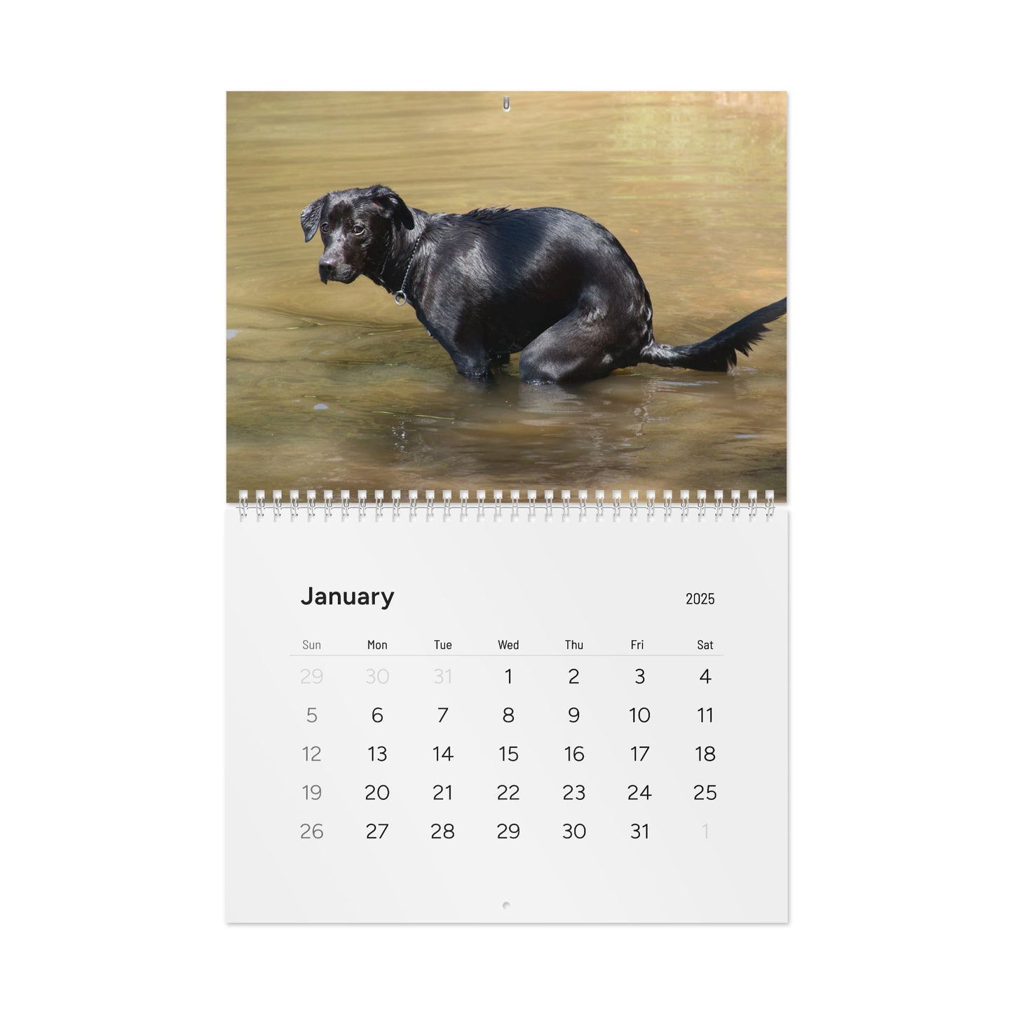 Pooping Dogs Calendar 2025, Funny 2025 Dog Calendar, Funny Christmas Gift for Dog Lover, Dog Pooping 2025, Dog Lover Gift