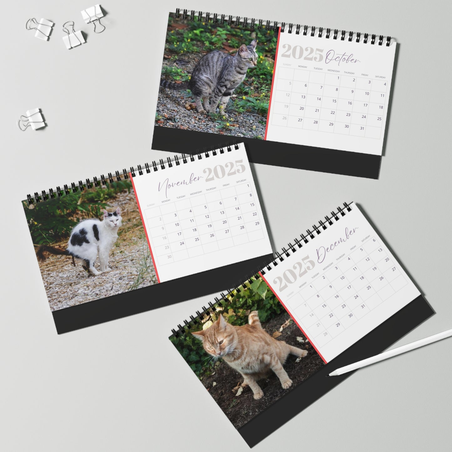 Pooping Cats Desk Calendar 2025, Funny 2025 Desk Calendar, Funny Christmas Gift for Cat Lover, Cat Pooping, Cat Lover Gift