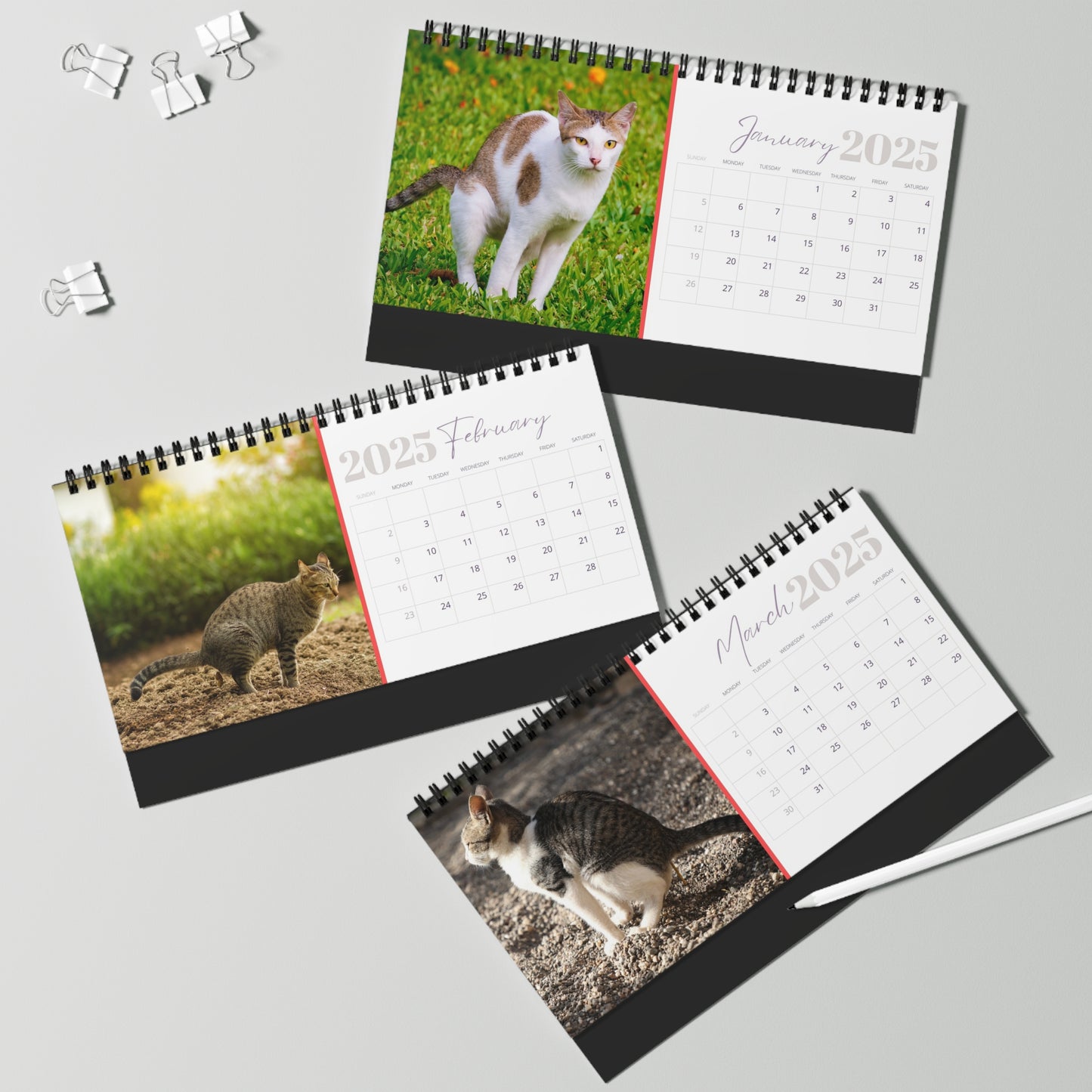 Pooping Cats Desk Calendar 2025, Funny 2025 Desk Calendar, Funny Christmas Gift for Cat Lover, Cat Pooping, Cat Lover Gift