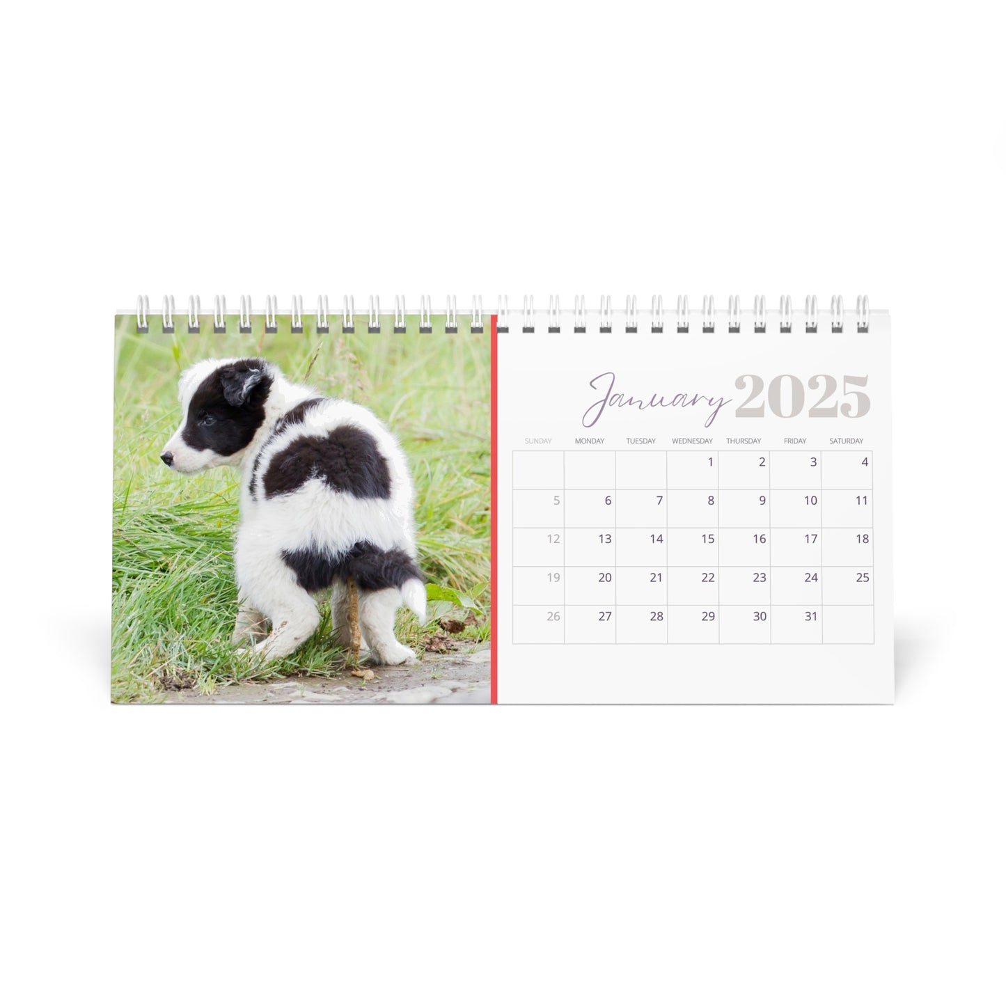 Pooping Dogs Desk Calendar 2025, Funny 2025 Desk Calendar, Funny Christmas Gift for Dog Lover, Dog Pooping, Dog Lover Gift