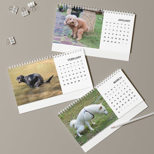 Pooping Dogs Desk Calendar 2025, Funny 2025 Desk Calendar, Funny Christmas Gift for Dog Lover, Dog Pooping, Dog Lover Gift