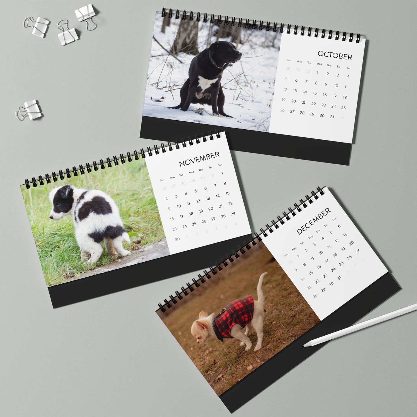 Pooping Dogs Desk Calendar 2025, Funny 2025 Desk Calendar, Funny Christmas Gift for Dog Lover, Dog Pooping, Dog Lover Gift