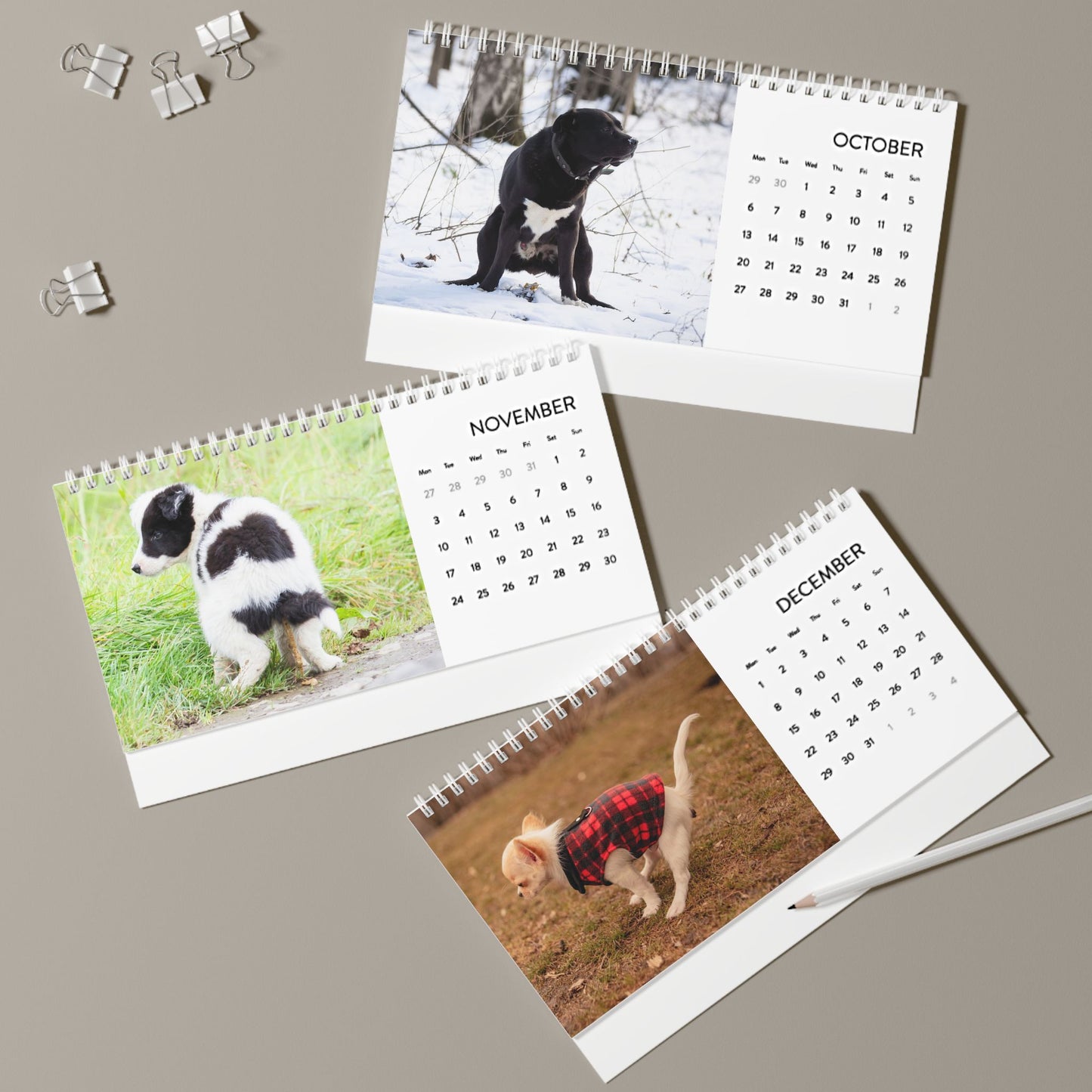 Pooping Dogs Desk Calendar 2025, Funny 2025 Desk Calendar, Funny Christmas Gift for Dog Lover, Dog Pooping, Dog Lover Gift