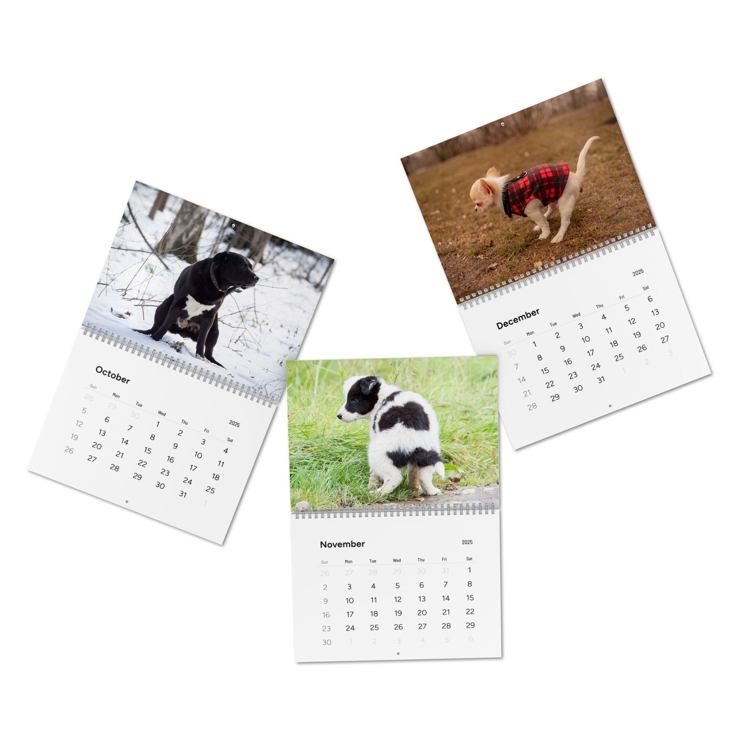 Pooping Dogs Calendar 2025, Funny 2025 Dog Calendar, Funny Christmas Gift for Dog Lover, Dog Pooping 2025, Dog Lover Gift